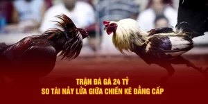 Trận Đá Gà 24 Tỷ Tại 88vv: So Tài Nảy Lửa Giữa Chiến Kê Đẳng Cấp